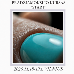 REGISTRACIJA Į GYVUS PRADŽIAMOKSLIO “START” MOKYMUS 11.18-19d. VILNIUS